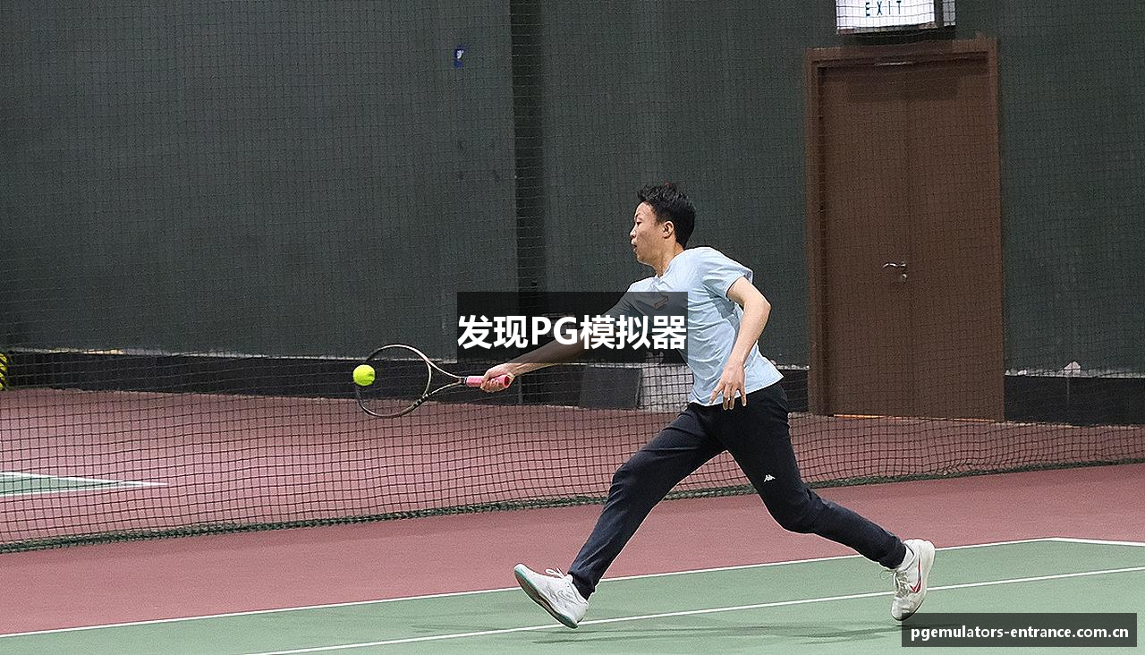 发现PG模拟器
